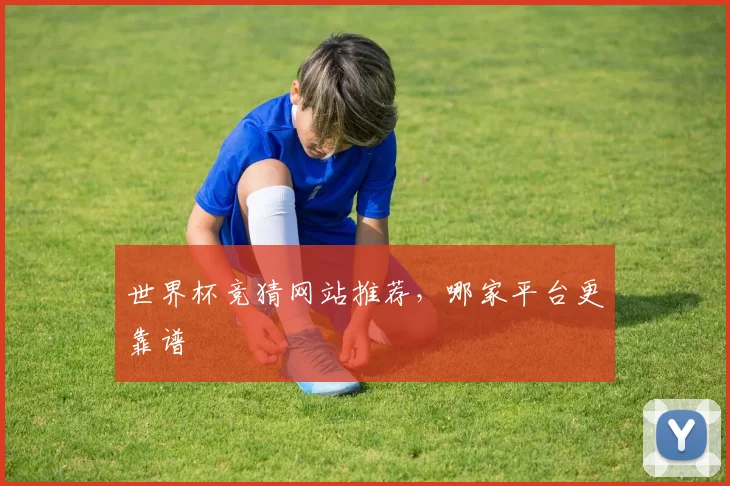 世界杯竞猜网站推荐，哪家平台更靠谱