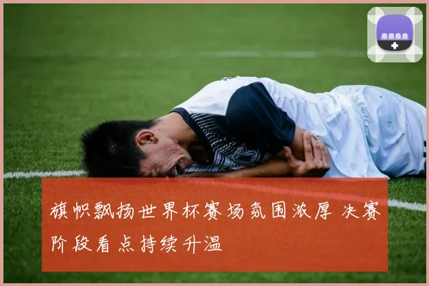 旗帜飘扬世界杯赛场氛围浓厚 决赛阶段看点持续升温