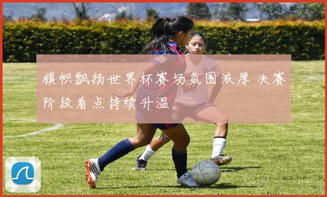 旗帜飘扬世界杯赛场氛围浓厚 决赛阶段看点持续升温