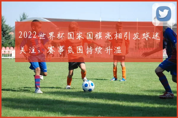 2022世界杯国家国旗亮相引发球迷关注,赛事氛围持续升温