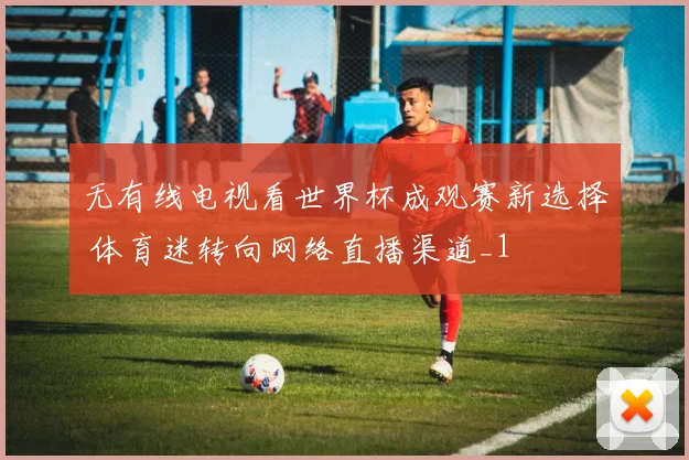 无有线电视看世界杯成观赛新选择 体育迷转向网络直播渠道_1